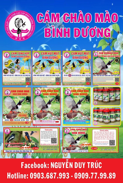 cam-chao-mao-binh-duong1-1691575164.png