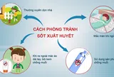 Sốt xuất huyết có xu hướng gia tăng, Bộ Y tế chỉ cách phòng bệnh hiệu quả