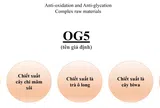 OG5 - “Siêu sao” chống lão hoá da đến từ Nhật Bản mà các tín đồ làm đẹp nên biết sớm