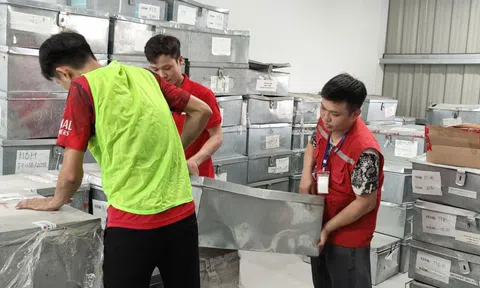 Công ty dịch vụ vận tải Thành Hưng: Giải pháp vận chuyển toàn diện