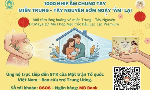 Khi lòng tốt cần được "bảo vệ": Minh bạch trong thiện nguyện