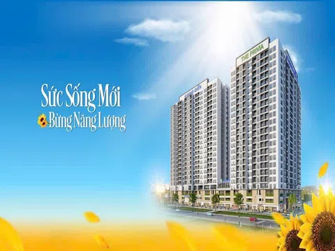 Căn hộ 1 phòng ngủ The Privia Khang Điền: Cuộc sống tiện nghi trong tầm tay