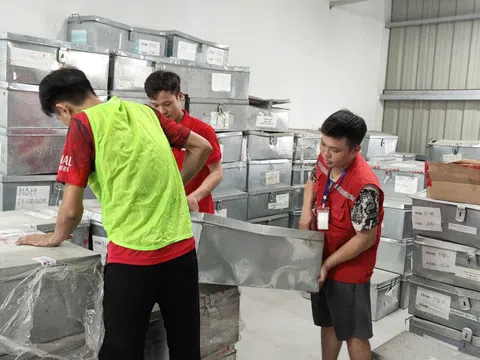 Công ty dịch vụ vận tải Thành Hưng: Giải pháp vận chuyển toàn diện