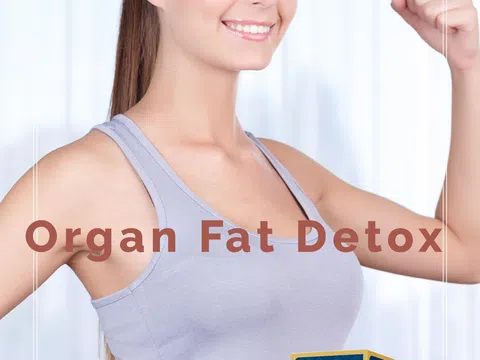 Viên giải độc mỡ nội tạng Vitatree Organ Fat Detox: Người bạn cho sức khỏe mọi nhà