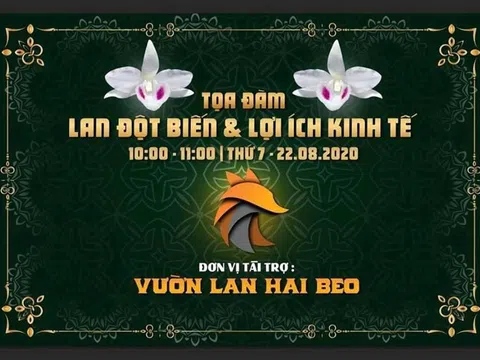 Tọa đàm trực tuyến phát triển bền vững ngành Hoa Lan và quyên góp ủng hộ phòng chống Covid 19