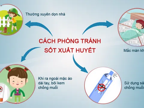 Sốt xuất huyết có xu hướng gia tăng, Bộ Y tế chỉ cách phòng bệnh hiệu quả