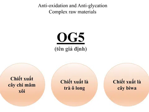 OG5 - “Siêu sao” chống lão hoá da đến từ Nhật Bản mà các tín đồ làm đẹp nên biết sớm