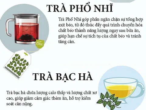 6 loại trà hỗ trợ giảm cân hiệu quả