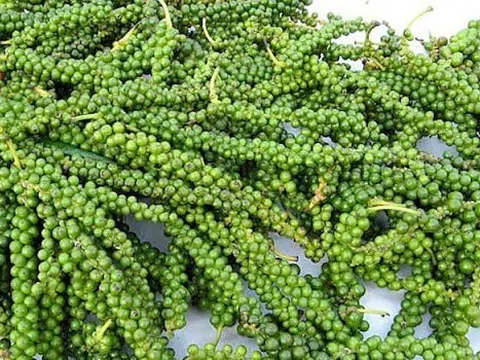 Giá tiêu hôm nay 18/11: Cao nhất 57.500 đồng/kg, tiêu xuất khẩu tăng cao