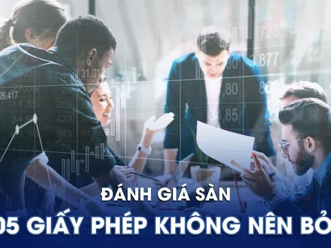 ĐÁNH GIÁ SÀN: TOP 05 GIẤY PHÉP KHÔNG NÊN BỎ QUA