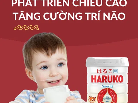 Đâu là giai đoạn vàng phát triển trí não cho trẻ từ 1-15 tuổi? Hãy để Haruko Grow IQ giải đáp thắc mắc của mẹ